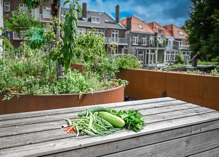 Court Garden Hotel - Ecodesigned