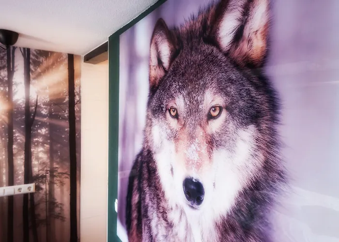 Wolf Hotel Kitchen & Bar Alkmaar, Netherlands