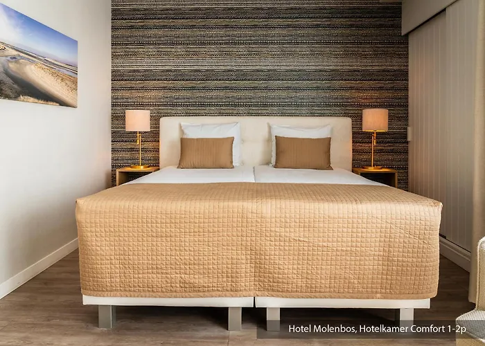 Hotel Molenbos Texel De Cocksdorp , Netherlands