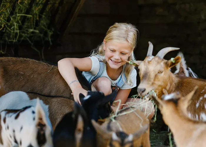 Vakantiepark Dierenbos Vinkel, Nederland