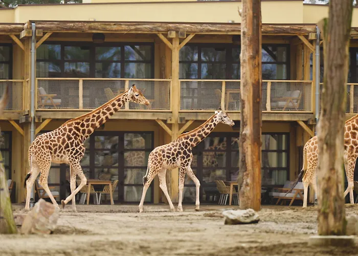 Safari Resort Beekse Bergen