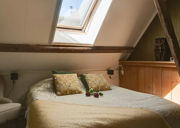 Logement Doosje Warfstermolen, Nederland