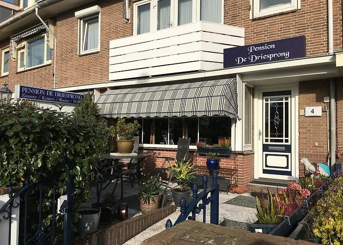 Pension De Driesprong