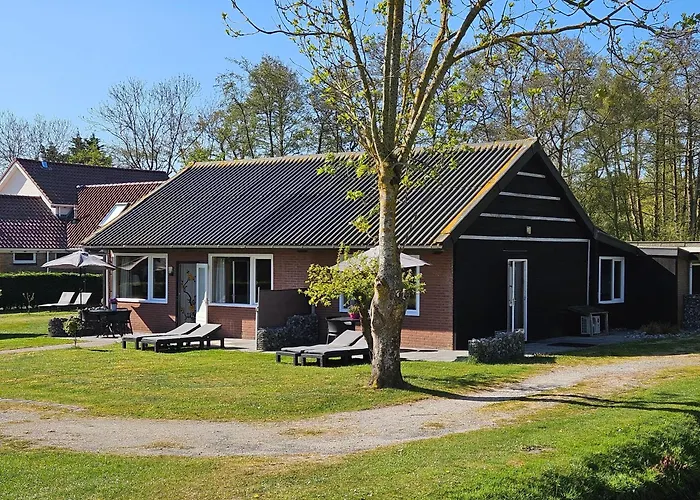 Little Creek - s In Het Natuurgebied