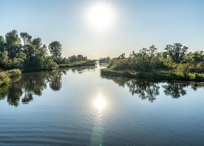 de Brabantse Biesbosch