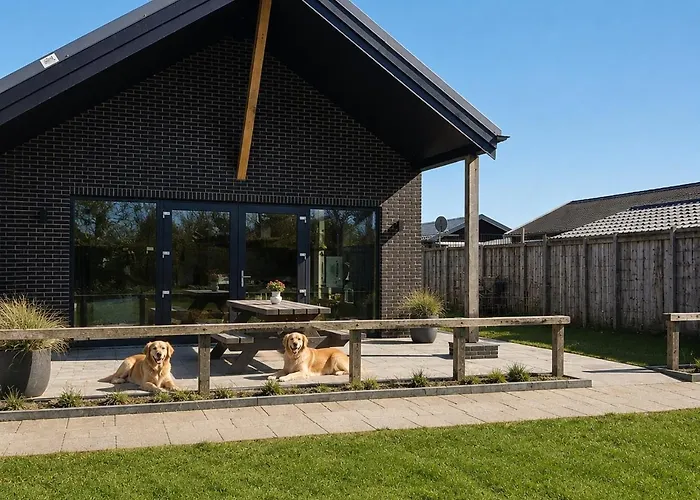 Vakantievilla Met Sauna Op 10 Minuten Van Het
