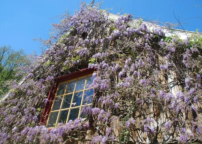 B&B De Hagmolenbeek Boekelo, Nederland
