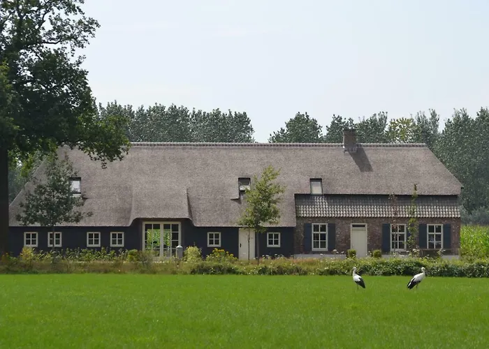 Bed&Breakfast de Bimd Hoeve De Bus, Nederland