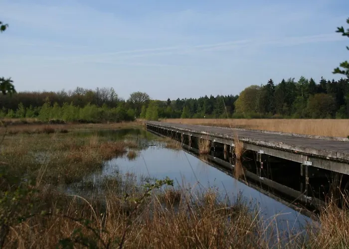 Vakantiehuis NamaStee Schoonloo, Nederland