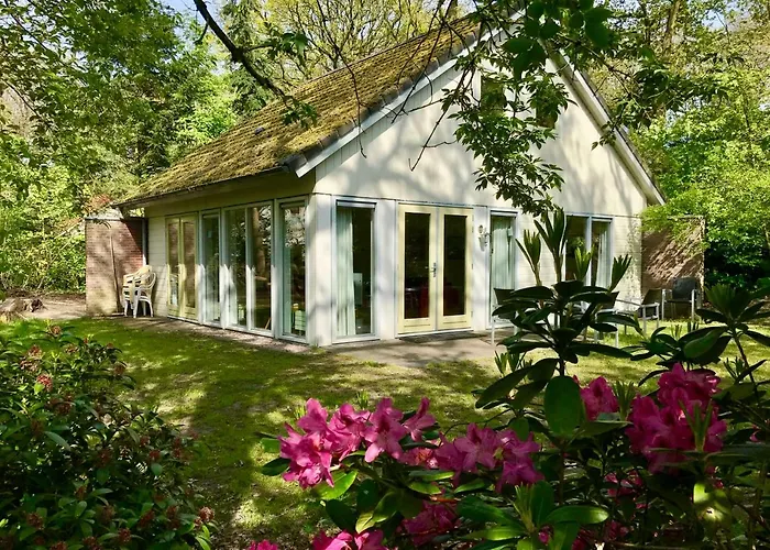 Vakantiewoning Tjiftjaf In Het Fonteinbos